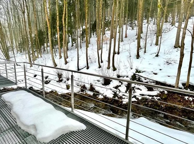 Angel * Černý Důl